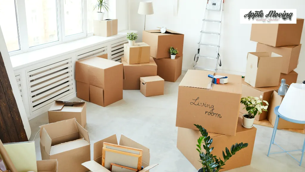 best movers, San Antonio